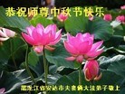 Published on 9/12/2011 ֹ,½󷨵ӹףʦ֣133 - ִ
