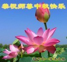 Published on 9/12/2011 ֹ,½󷨵ӹףʦ֣138 - ִ

