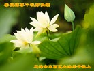 ֹ,󷨵ӹףʦ֣158 - ִ
