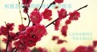 Published on 9/12/2011 法轮功,大陆大法弟子恭祝师尊中秋快乐（137条） - 法轮大法明慧网
