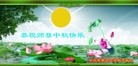 Published on 9/12/2011 法轮功,大陆大法弟子恭祝师尊中秋快乐（137条） - 法轮大法明慧网
