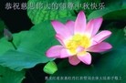 Published on 9/12/2011 法轮功,大陆各行业大法弟子恭祝师尊中秋快乐 - 法轮大法明慧网
