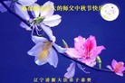 Published on 9/12/2011 法轮功,大陆大法弟子恭祝师尊中秋快乐（133条） - 法轮大法明慧网
