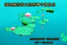 Published on 9/12/2011 法轮功,大陆大法弟子恭祝师尊中秋快乐（133条） - 法轮大法明慧网
