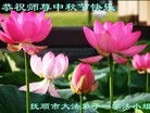 Published on 9/12/2011 法轮功,大陆大法弟子恭祝师尊中秋快乐（133条） - 法轮大法明慧网
