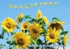ֹ,󷨵ӹףʦ֣158 - ִ
