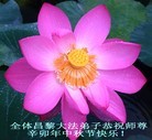 ֹ,󷨵ӹףʦ֣158 - ִ
