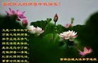 Published on 9/12/2011 法轮功,大陆大法弟子恭祝师尊中秋快乐（121条） - 法轮大法明慧网
