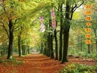 Published on 9/12/2011 法轮功,大陆大法弟子恭祝师尊中秋快乐（121条） - 法轮大法明慧网

