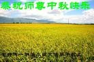Published on 9/12/2011 法轮功,大陆大法弟子恭祝师尊中秋快乐（121条） - 法轮大法明慧网
