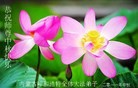 Published on 9/12/2011 ֹ,½󷨵ӹףʦ֣151 - ִ
