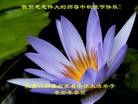 Published on 9/12/2011 ֹ,½󷨵ӹףʦ֣115 - ִ
