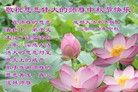 Published on 9/12/2011 法轮功,大陆大法弟子恭祝师尊中秋快乐（104条） - 法轮大法明慧网
