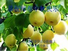 Published on 9/12/2011 ֹ,½󷨵ӹףʦ֣74 - ִ
