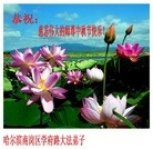 Published on 9/12/2011 ֹ,½󷨵ӹףʦ֣74 - ִ

