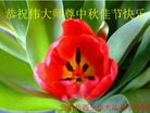 Published on 9/12/2011 法轮功,大陆大法弟子恭祝师尊中秋快乐（104条） - 法轮大法明慧网
