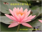 Published on 9/12/2011 法轮功,大陆大法弟子恭祝师尊中秋快乐（104条） - 法轮大法明慧网
