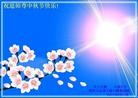 Published on 9/12/2011 ֹ,½󷨵ӹףʦ֣74 - ִ

