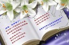 Published on 9/12/2011 法轮功,大陆大法弟子恭祝师尊中秋快乐（104条） - 法轮大法明慧网
