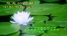 Published on 9/12/2011 ֹ,ǷѺ󷨵ӹףʦ - ִ

