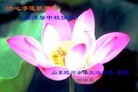 Published on 9/12/2011 ֹ,½󷨵ӹףʦ֣151 - ִ

