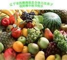 Published on 9/12/2011 法轮功,大陆大法弟子恭祝师尊中秋快乐（121条） - 法轮大法明慧网
