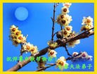 Published on 9/12/2011 ֹ,½󷨵ӹףʦ֣74 - ִ
