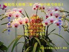 Published on 9/12/2011 ֹ,½󷨵ӹףʦ֣178 - ִ
