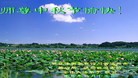 Published on 9/12/2011 ֹ,½󷨵ӹףʦ֣178 - ִ
