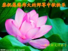 Published on 9/12/2011 ֹ,½󷨵ӹףʦ֣178 - ִ
