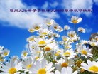 Published on 9/12/2011 ֹ,½󷨵ӹףʦ֣107 - ִ
