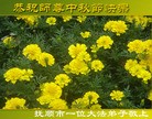 Published on 9/12/2011 ֹ,½󷨵ӹףʦ֣107 - ִ
