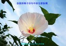 ֹ,󷨵ӹףʦã113 - ִ
