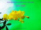 ֹ,󷨵ӹףʦã113 - ִ
