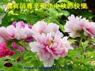 Published on 9/12/2011 法轮功,大陆各行业大法弟子恭祝师尊中秋快乐 - 法轮大法明慧网
