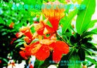 ֹ,󷨵ӹףʦ֣60 - ִ
