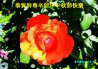 ֹ,󷨵ӹףʦã113 - ִ
