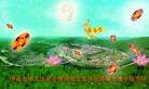 ֹ,󷨵ӹףʦã113 - ִ
