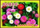 ֹ,󷨵ӹףʦ֣129 - ִ
