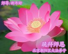 ֹ,󷨵ӹףʦ֣137 - ִ
