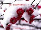 ֹ,󷨵ӹףʦã146 - ִ
