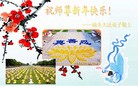 ֹ,ϴ󷨵ӹףʦ֣185 - ִ
