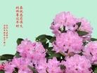 ֹ,󷨵ӹףʦã146 - ִ
