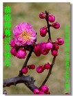 ֹ,󷨵ӹףʦã146 - ִ
