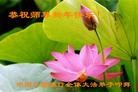 Published on 1/23/2012 ֹ,½ҵ󷨵ӹףʦ֣214 - ִ

