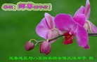 ֹ,ʡ󷨵ӹףʦã119 - ִ
