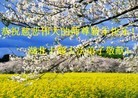 ֹ,д󷨵ӹףʦã158 - ִ
