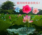 ֹ,ʡ󷨵ӹףʦã119 - ִ
