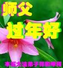 ֹ,ʡ󷨵ӹףʦã119 - ִ

