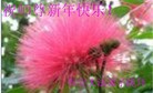 ֹ,󷨵ӹףʦ֣137 - ִ
